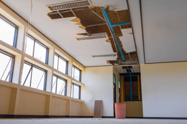Best Mold removal after water damage  in Lam, AR