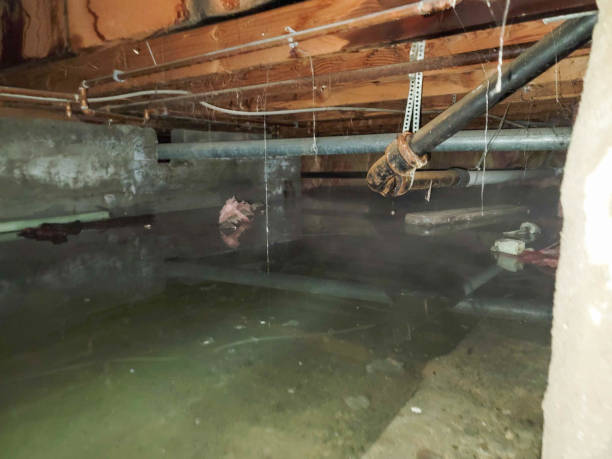 Sewage cleanup and water damage restoration in Lamar, AR