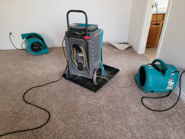  Lam, AR Water damage restoration Pros