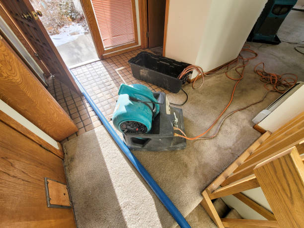 Best Professional water damage repair  in Lam, AR