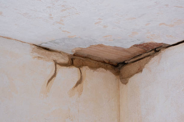 Best Flood restoration services  in Lam, AR