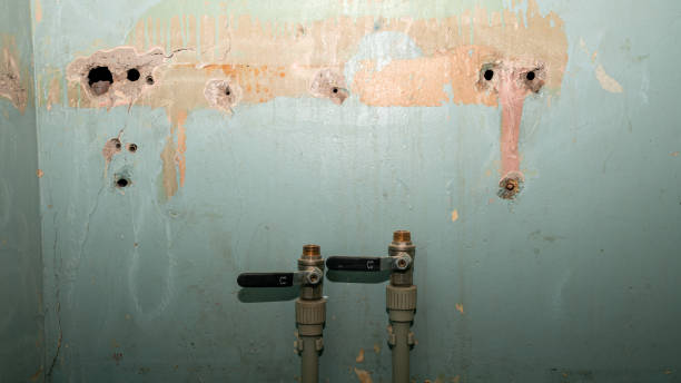 Best Flooded house restoration  in Lam, AR