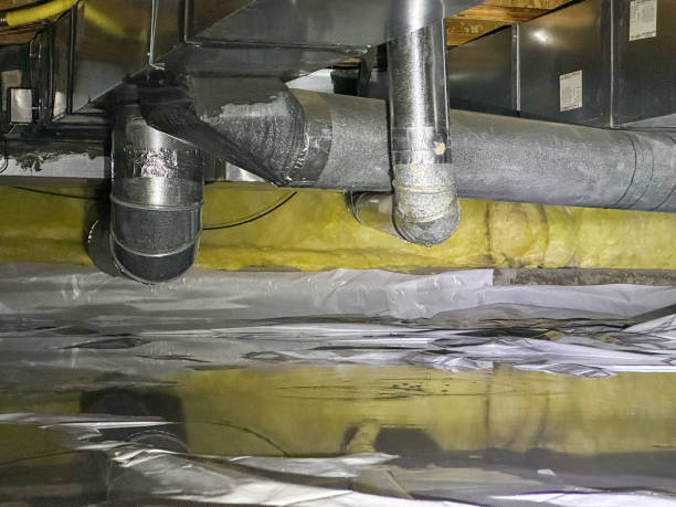Best Flood damage cleanup  in Lam, AR