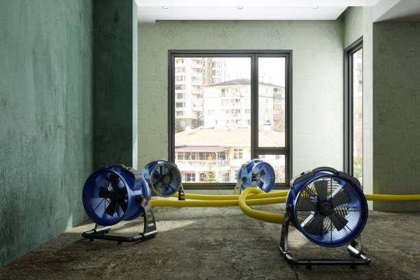 Local water damage restoration in Lamar, AR